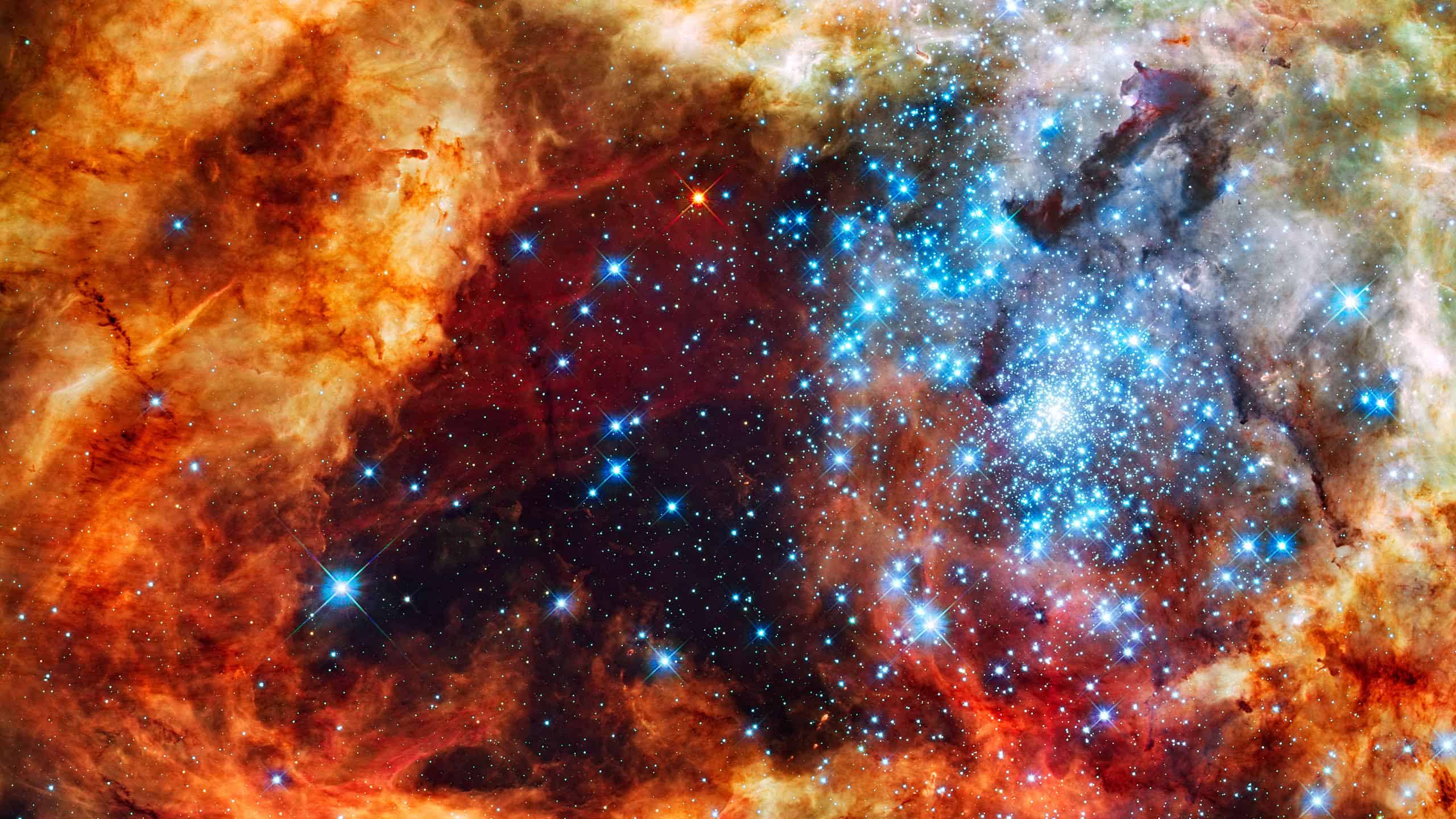 Stellar Grouping R136 30 Doradus Nebula Wqhd 1440p HD Wallpapers Download Free Images Wallpaper [wallpaper981.blogspot.com]