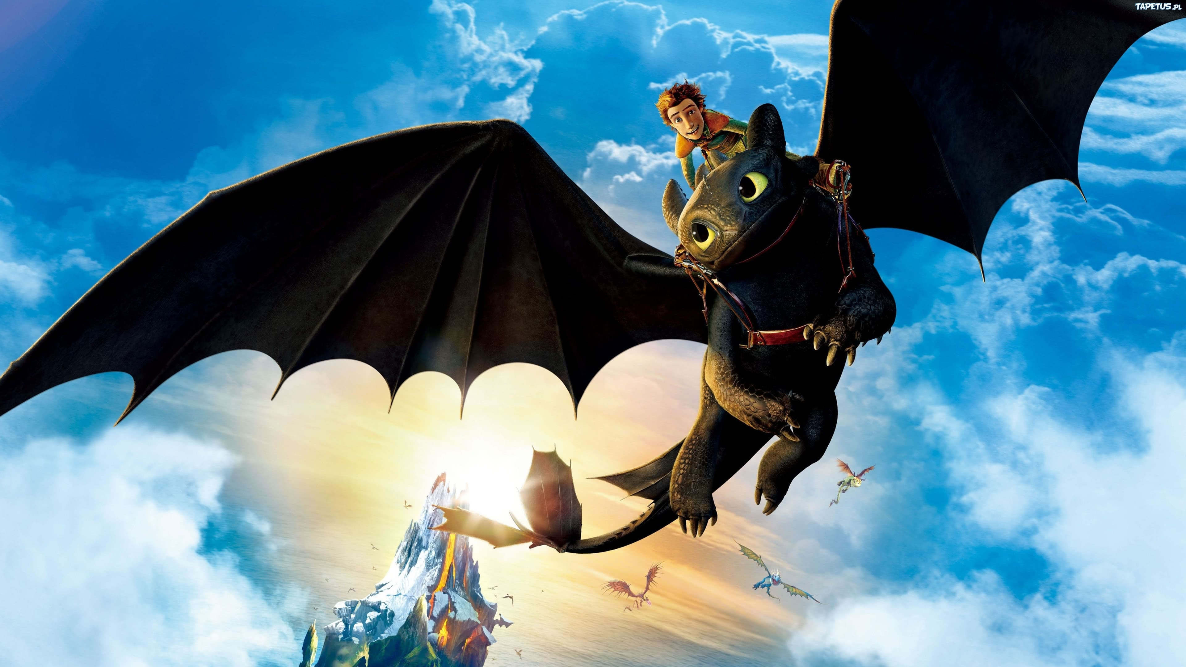 Toothless (How to Train Your Dragon) 1080P, 2K, 4K, 5K HD wallpapers free  download | Wallpaper Flare