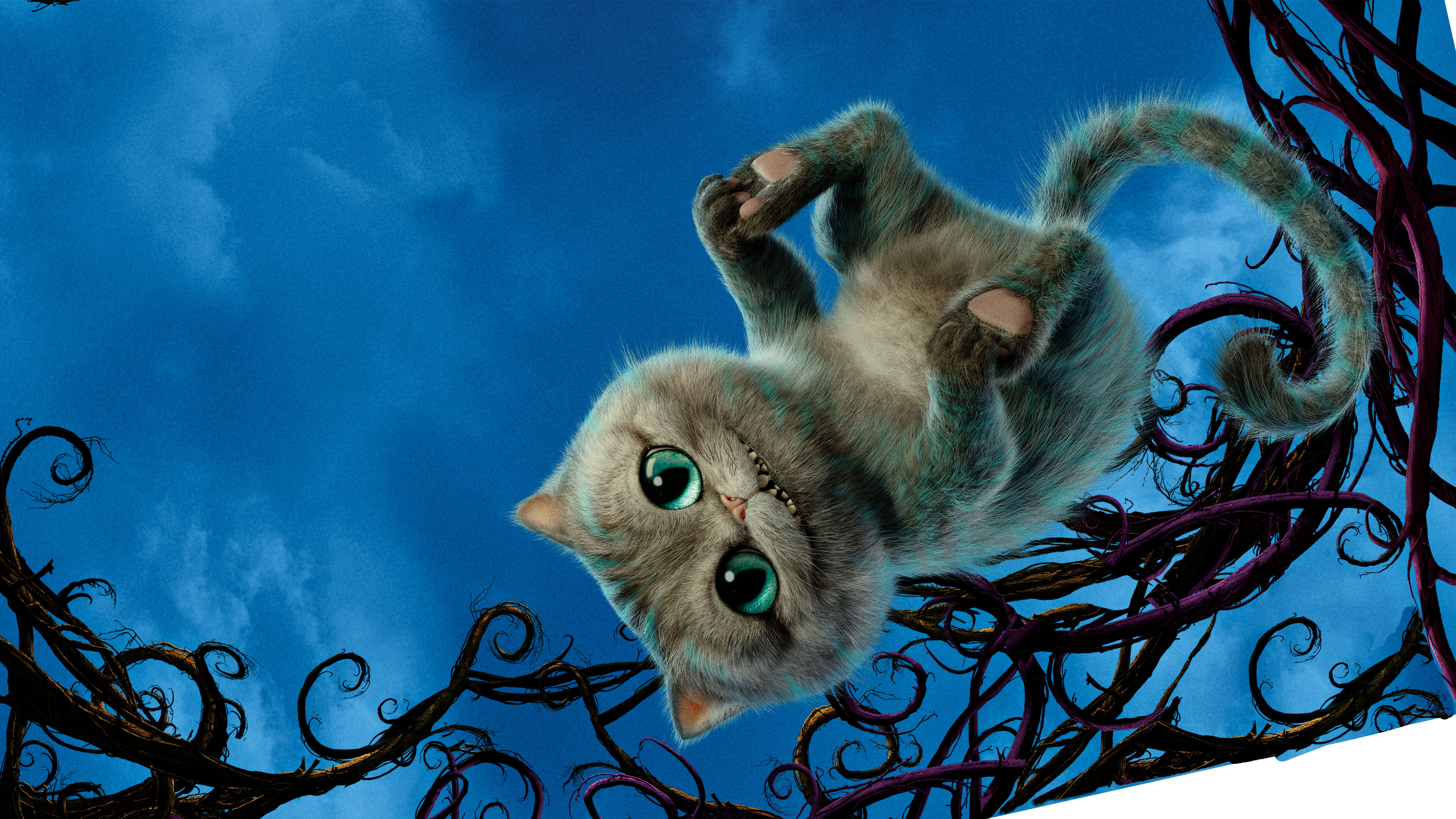 Cheshire Cat - Alice Through The Looking Glass UHD 8K Wallpaper - Pixelz.cc