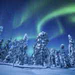 northern lights aurora borealis over forest uhd 4k wallpaper