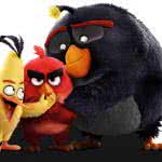 the angry birds movie uhd 8k wallpaper