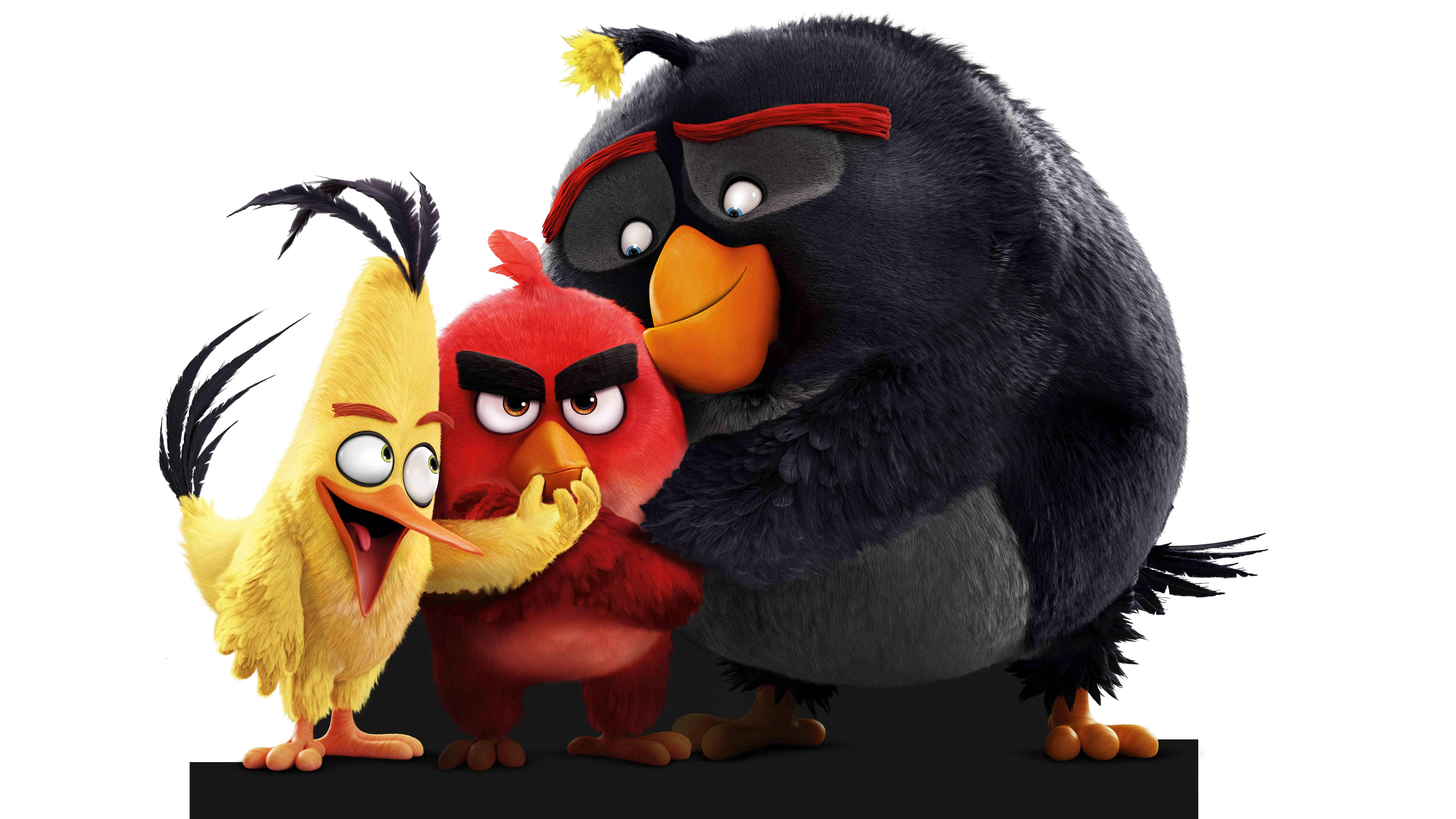 3840x2160 / 3840x2160 angry birds 4k desktop high resolution wallpapers -  Coolwallpapers.me!
