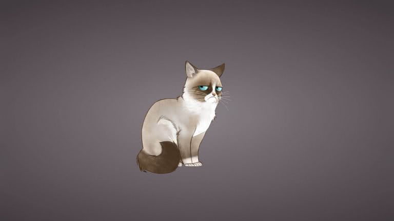 Grumpy Cat Meme UHD 4K Wallpaper | Pixelz