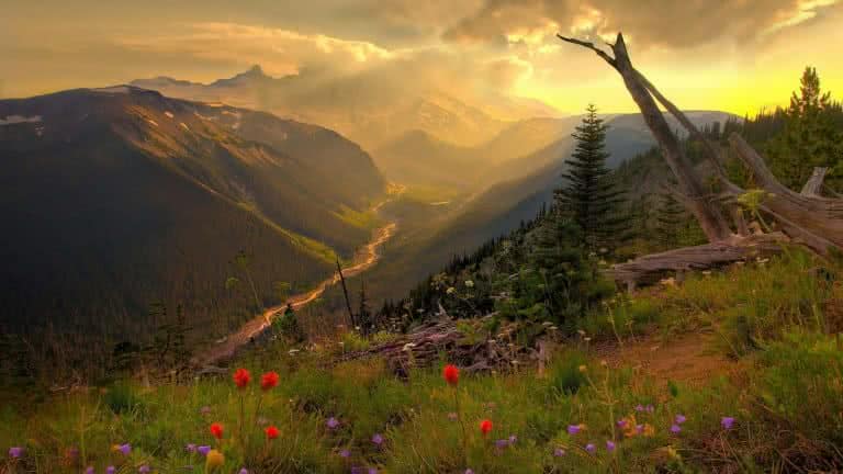 Premium Photo | Serene Meadow Sunrise Landscape Wallpaper In Unreal Engine  5 Style