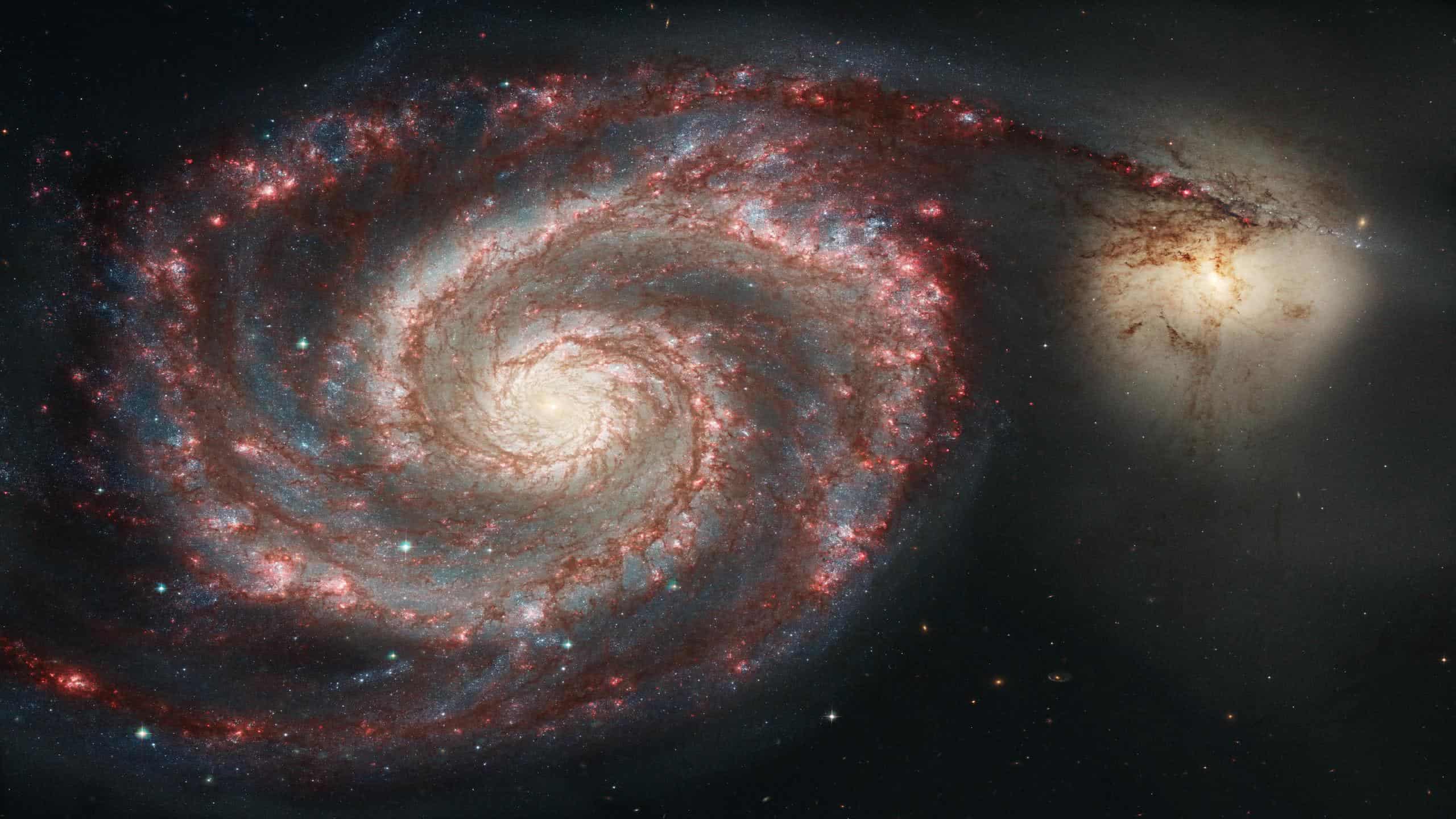 whirlpool galaxy messier 51 wqhd 1440p wallpaper
