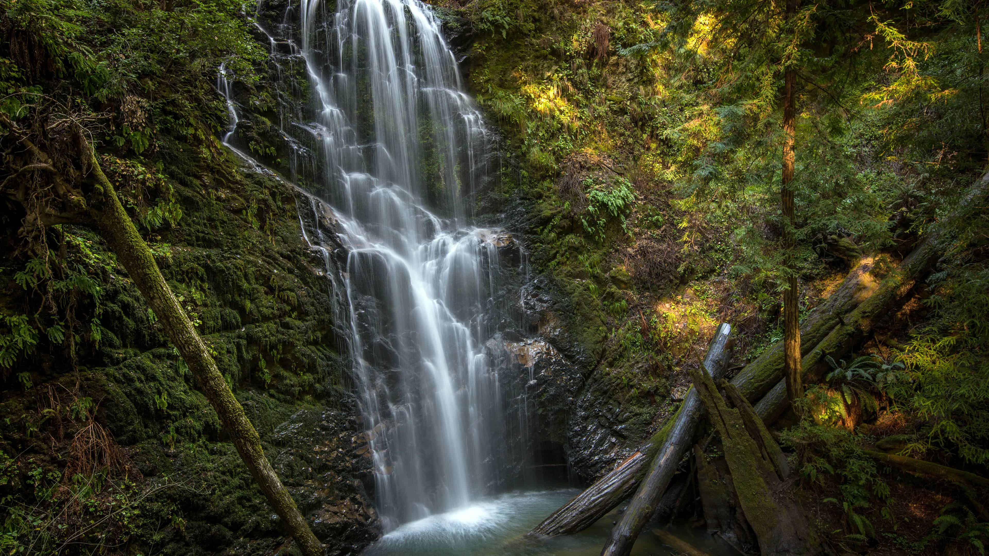 berry creek falls big basin redwoods state park california united states uhd 4k wallpaper