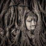 buddha head in tree roots wat mahathat ayutthaya thailand uhd 4k wallpaper