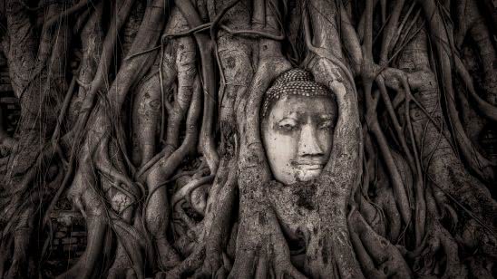 buddha head in tree roots wat mahathat ayutthaya thailand uhd 4k wallpaper