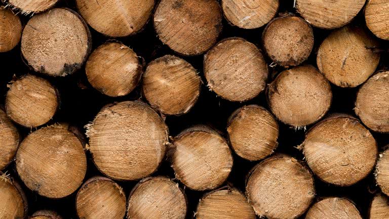 Wood Logs Uhd 4k   768x432 