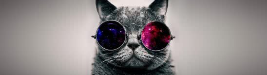 cat with sunglasses dual monitor wallpaper