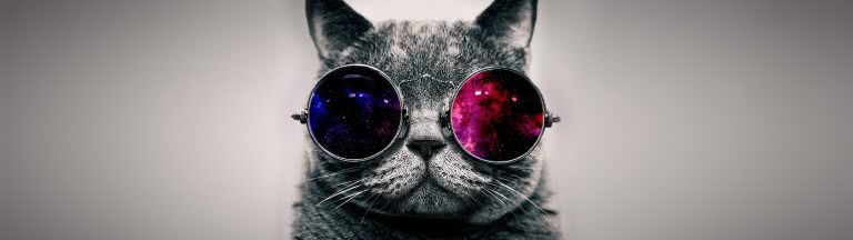 Cat  With Sunglasses  Wallpaper  Pixelz