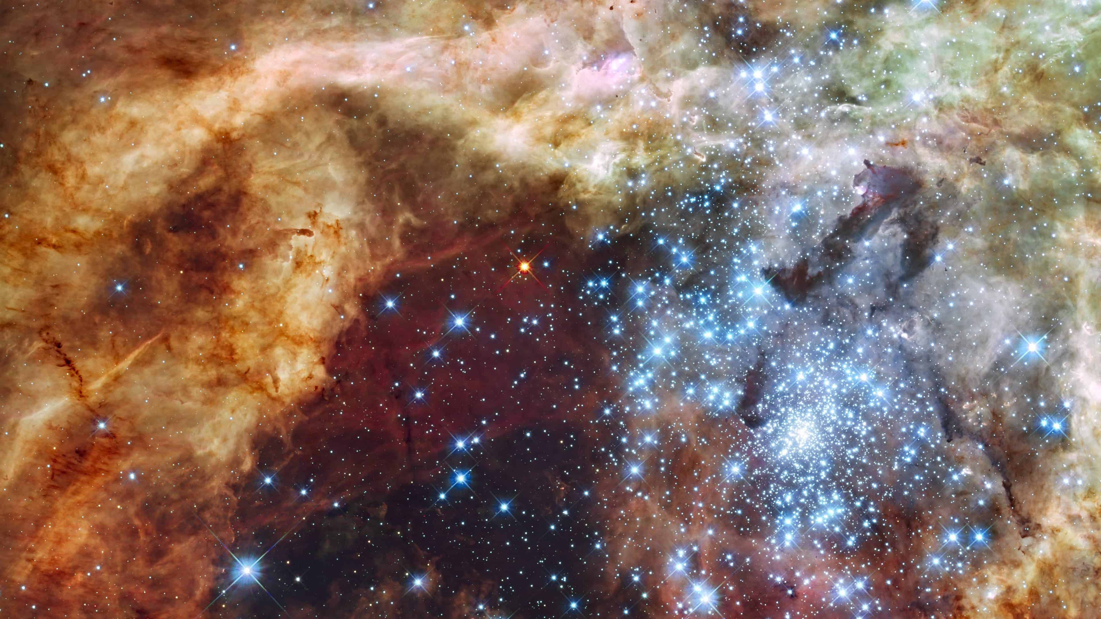 Tarantula Nebula UHD 4K Wallpaper | Pixelz
