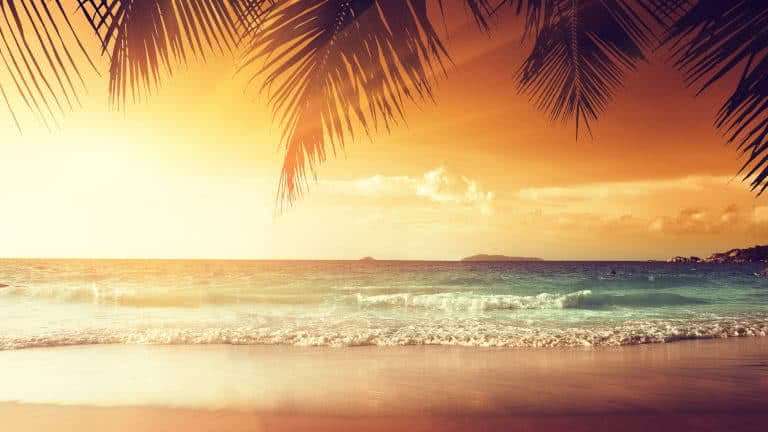 tropical beach sunset background