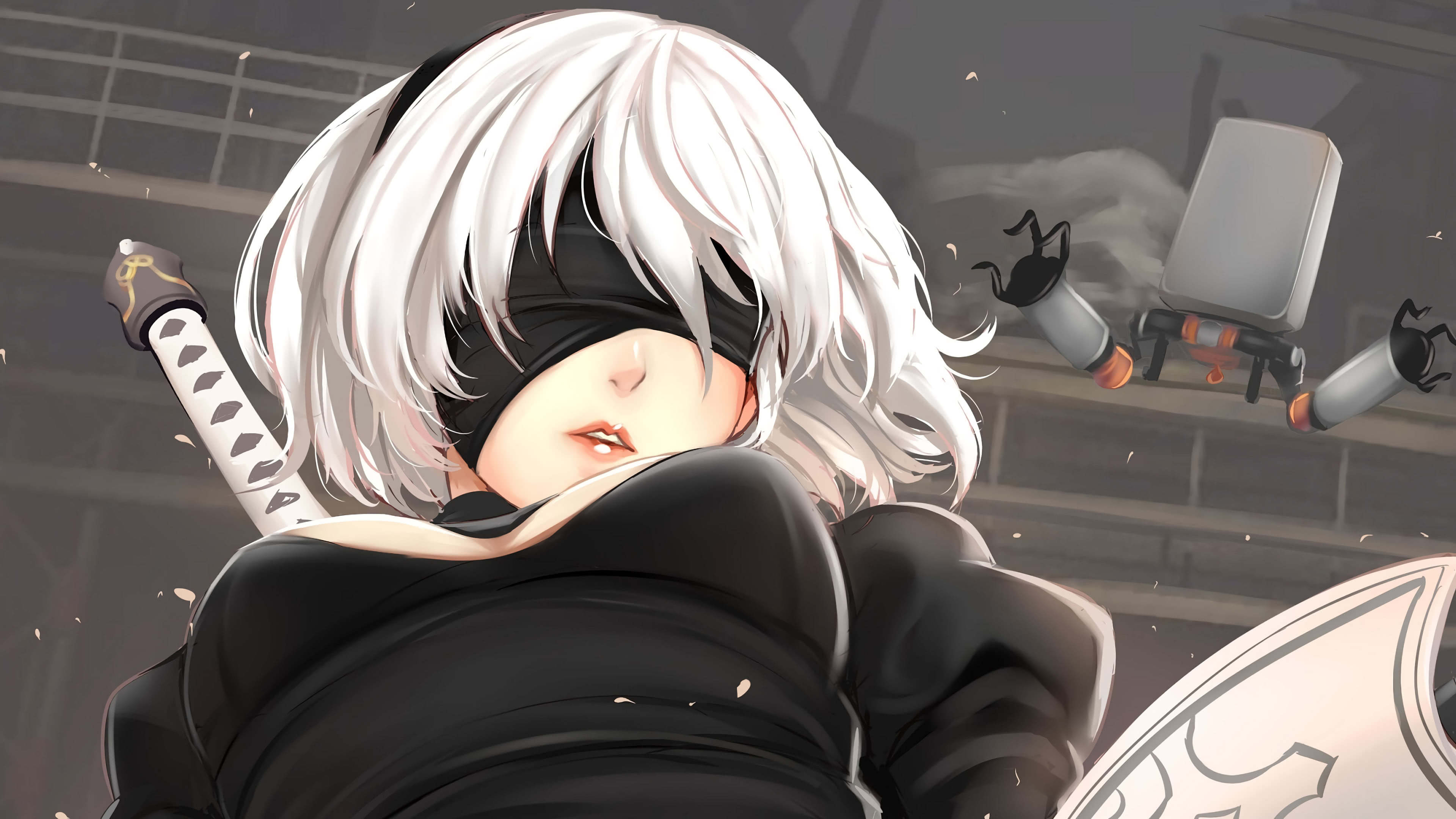 2b ass nier automata