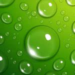 water drops on green surface uhd 4k wallpaper