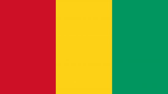 guinea flag uhd 4k wallpaper