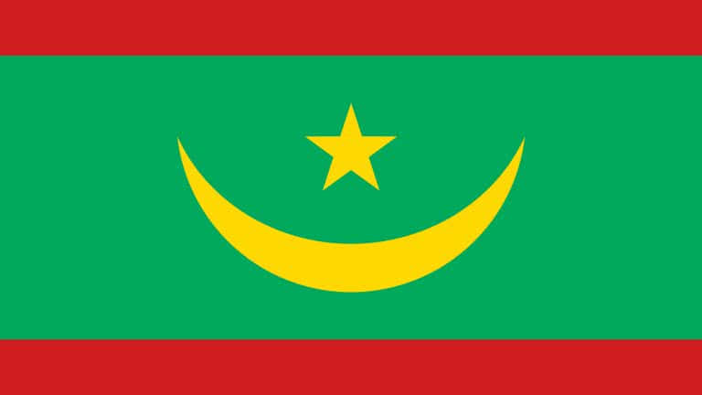 Mauritania Flag Uhd 4k Wallpaper Pixelz 2906