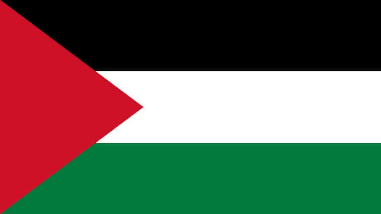 Palestine Flag UHD 4K Wallpaper | Pixelz