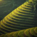 rice terraces bali indonesia uhd 4k wallpaper