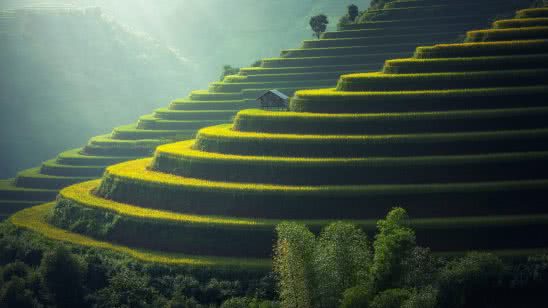 rice terraces uhd 4k wallpaper