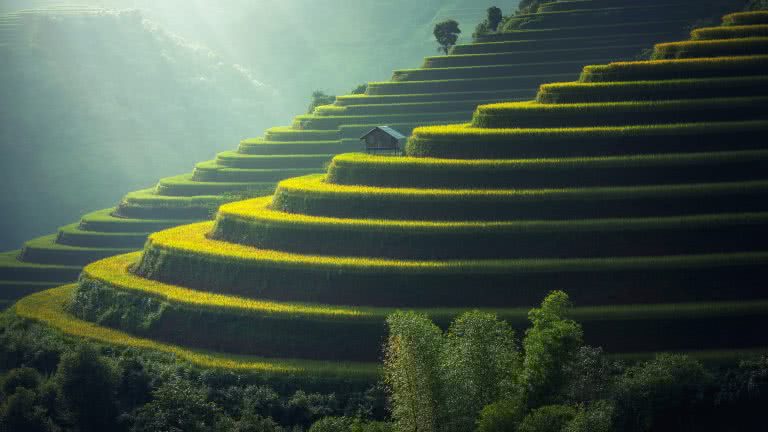 Rice Terraces UHD 4K Wallpaper | Pixelz