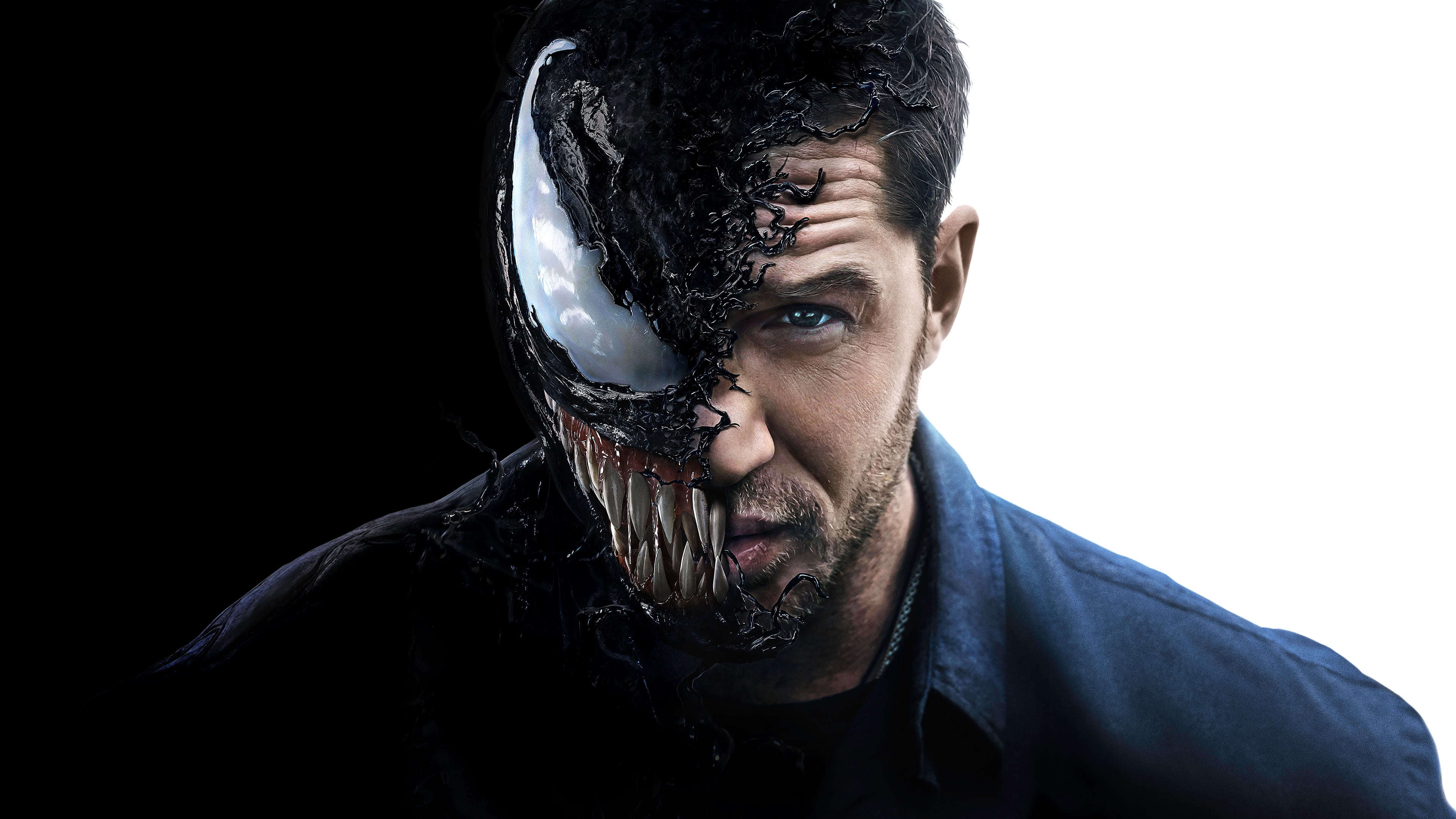 Venom Tom Hardy Uhd 4k Wallpaper Pixelz 