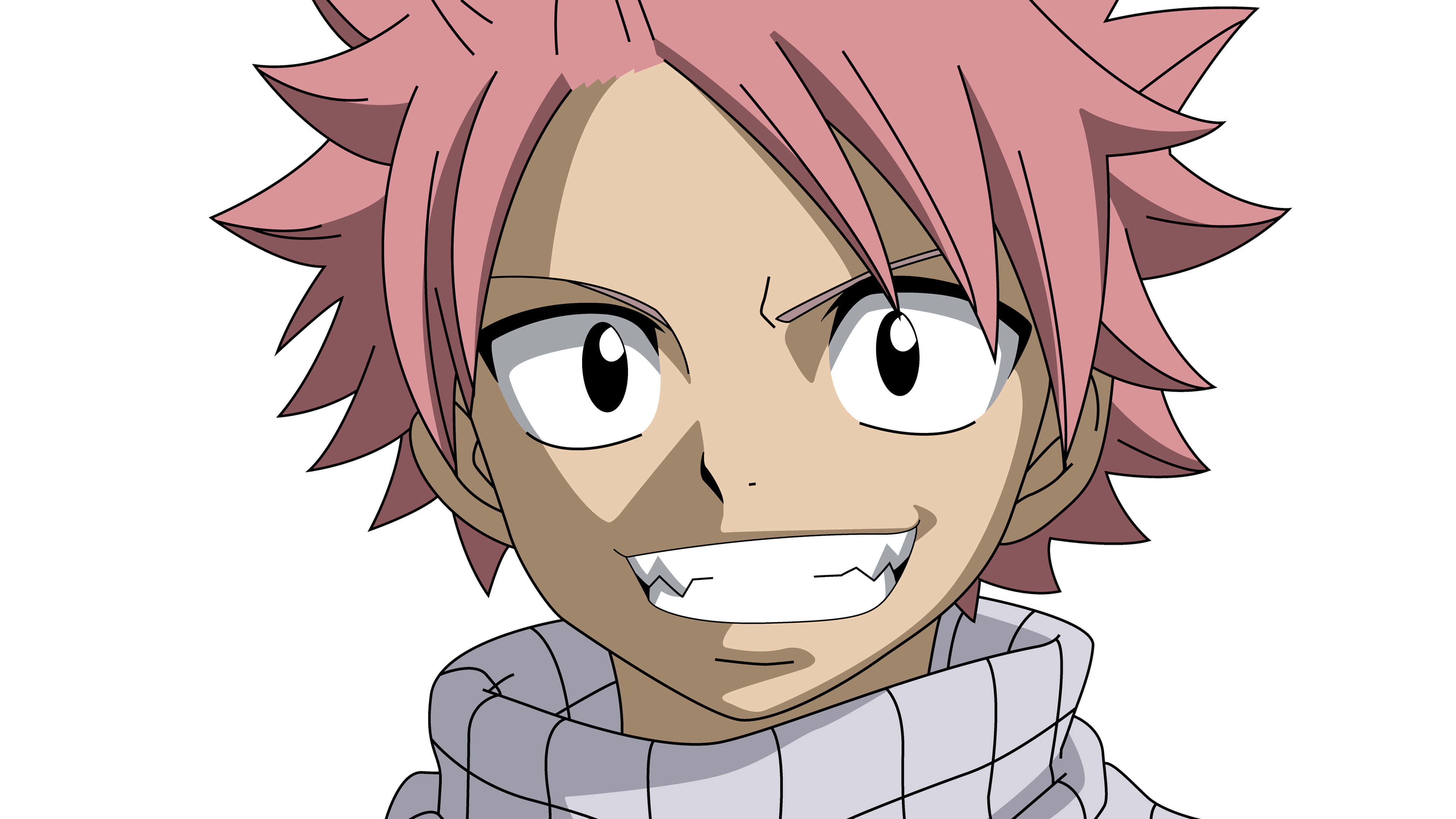 Fairy Tail Wiki - wide 2