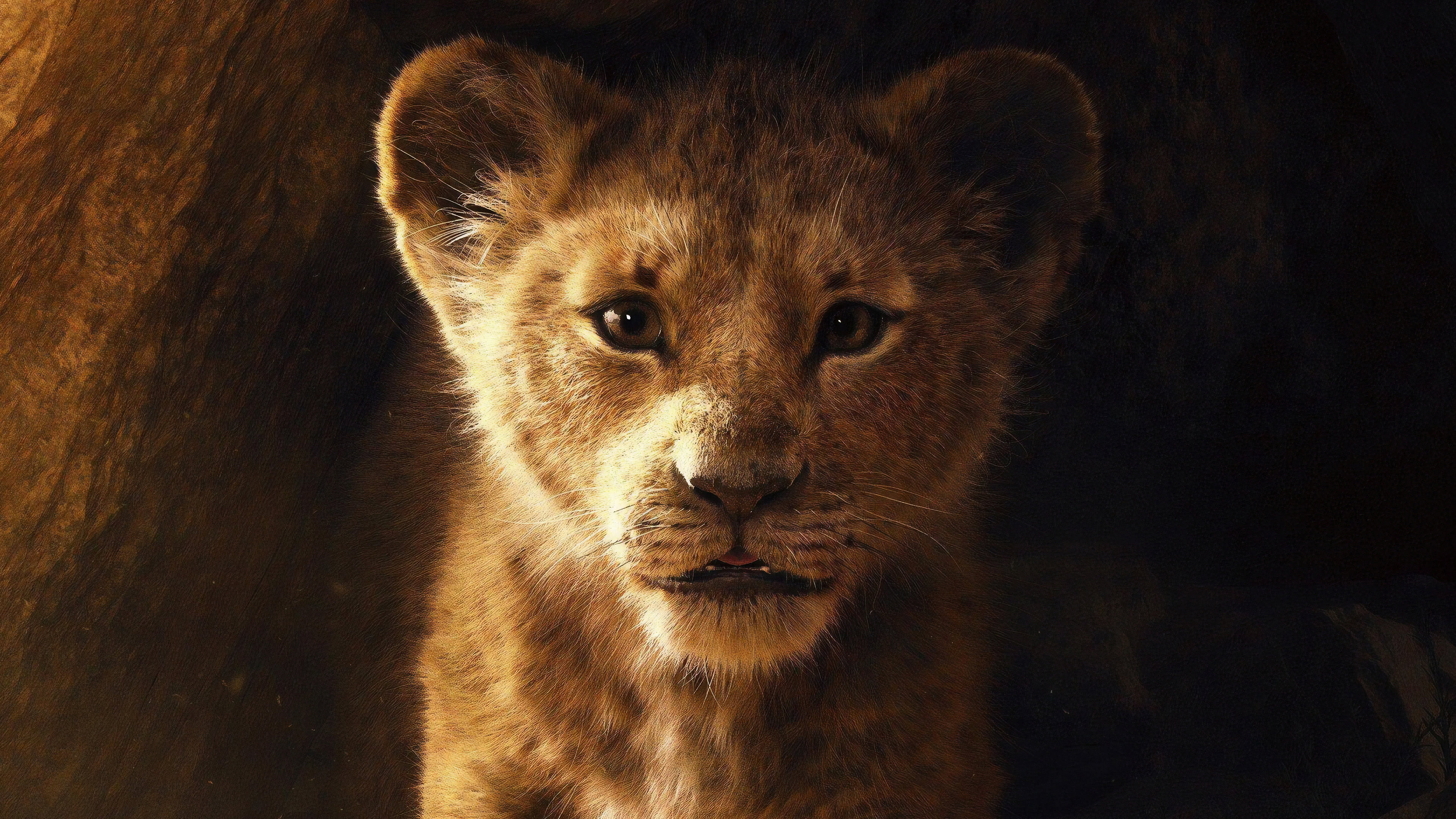 the lion king simba uhd 4k wallpaper