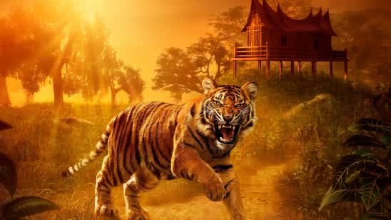 angry tiger wqhd 1440p wallpaper