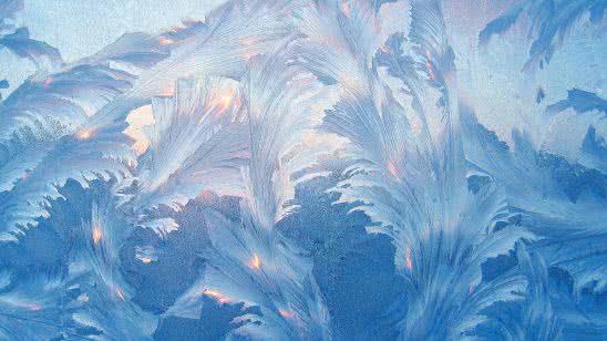 frost on window wqhd 1440p wallpaper