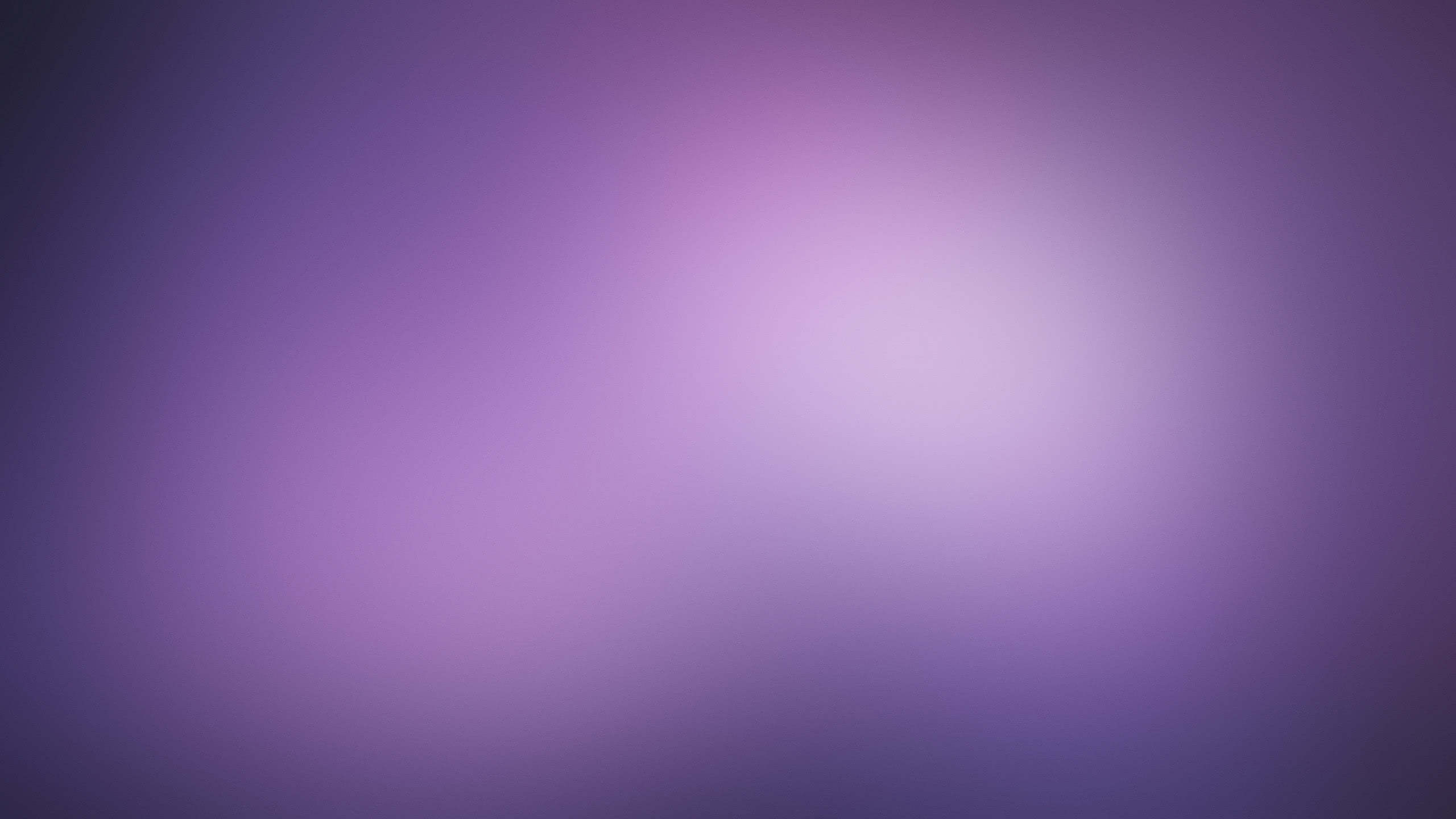 1440P Purple Wallpaper