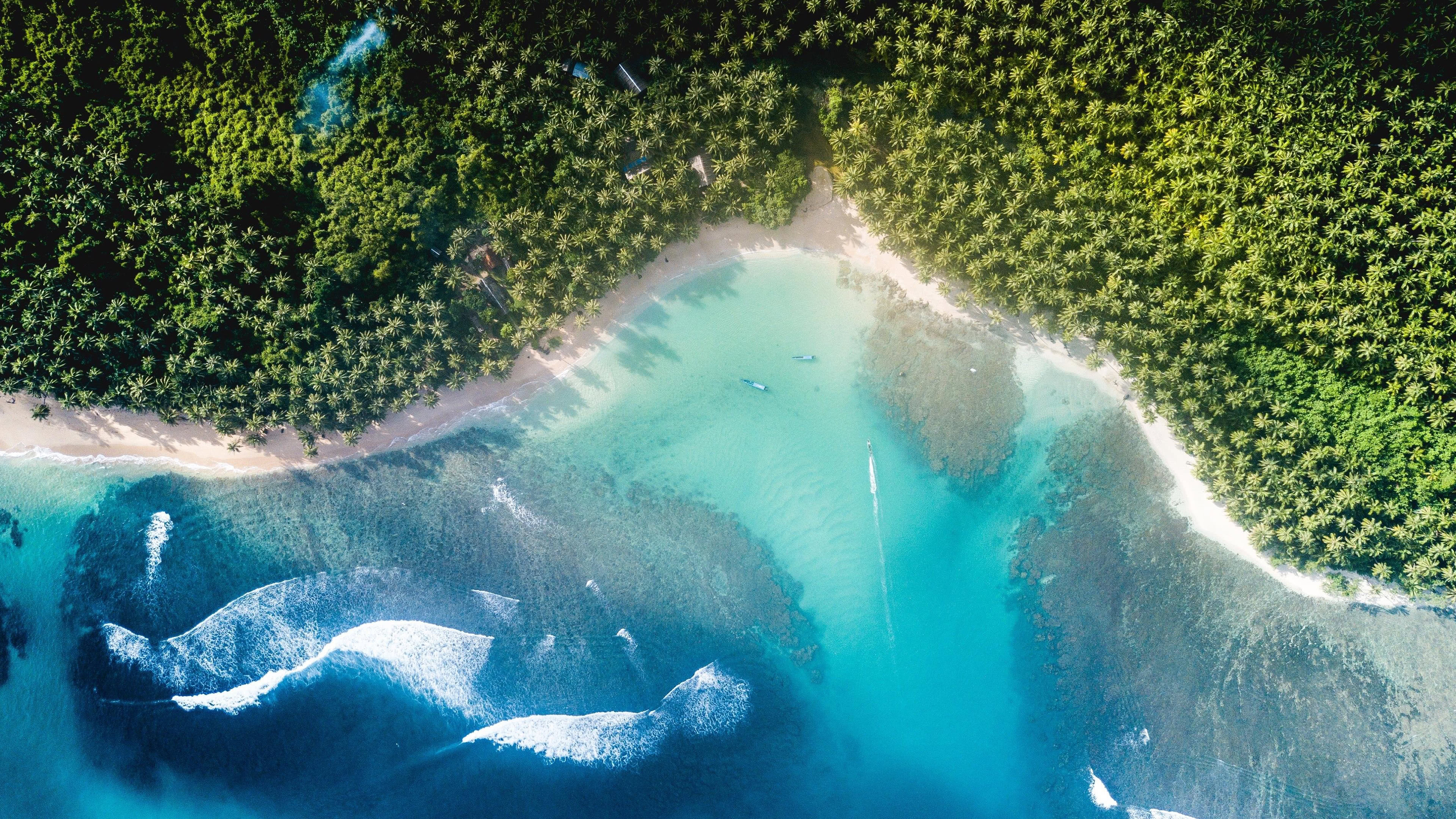 Tropical Beach Aerial View UHD 4K Wallpaper | Pixelz